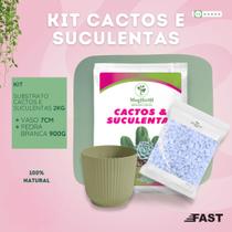 Kit Cactos e Suculentas com Substrato Especial, Pedra Branca Decorativa e Vaso Cachepô