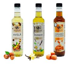 Kit Cafeteria Dilute Premium Drinks Café 3 Xaropes 500ml