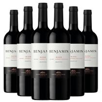 Kit Caixa Fechada 6 Vinhos Benjamin Blend
