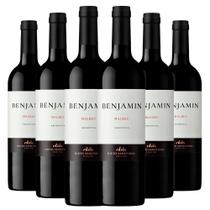 Kit Caixa Fechada 6 Vinhos Benjamin Malbec