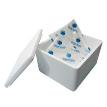 Kit Caixa Isopor 1,5L Litro 2 Gelo Flexível 120g Parede Simples Kit Caixa Isopor 1,5L Litro 2 Gelo Flexível 120g Parede Simples