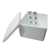Kit Caixa Isopor 1,5L Litro 2 Gelo Flexível 45g Parede Simples Kit Caixa Isopor 1,5L Litro 2 Gelo Flexível 45g Parede Simples