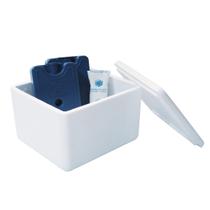Kit Caixa Isopor 1,5L Litro e 2 Gelo Rígido 200ml e 1 Gelo Flexível 45g Parede Simples Kit Caixa Isopor 1,5L Litro e 2 Gelo Rígido 200ml e 1 Gelo Flexível 45g Parede Simples