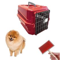 Kit Caixa Transporte P/ Dog Cat N1 E Rasqueadeira Chalesco Kit Caixa Transporte P/ Dog Cat N1 E Rasqueadeira Chalesco