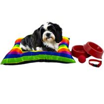 Kit Cama Orgulho LGBTQIA+ Pet Pequeno Potes Água Ração Coleira Bolinha