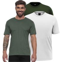 Kit Camisetas Masculina 02 Unidades Algodão Básica Gola Redonda Manga Curta