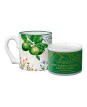 Kit Caneca e Vela MasterChef Bergamota Italiana e Ervas Finas Dani Fernandes