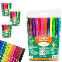 Kit Canetinha Hidrográfica 12 Cores 12 Pct C/ 12 Un Cada