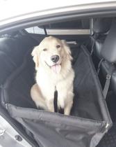 Kit Capa Pet para bancos de carros - Cinto e Peitoral