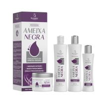 Kit capilar ameixa negra ( 4 itens ) - combo 24 unidades