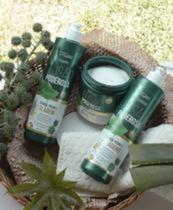 Kit Capilar Fusão Poderosa com Babosa,Rícino e Colageno - Suave Fragrance Cosmeticos Kit Capilar Fusão Poderosa com Babosa,Rícino e Colageno - Suave Fragrance Cosmeticos