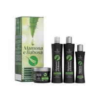 Kit capilar mamona e babosa hidrata e fortalece bio instinto Kit capilar mamona e babosa hidrata e fortalece bio instinto