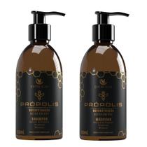 Kit Capilar Shampoo Própolis 250ml Máscara Própolis 250ml Entre Elas Hidratação e Reparação