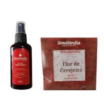 Kit Carro Perfumado Cheirinho com 1 Aromatizador Carro 60ml + 1 Sachê Console Carro 25g - Envio Já