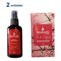 Kit Carro Perfumado com 1 Aromatizador Amor no Ar 60ml + 1 Sachê Console Cerejeira 15g - Envio Já Kit Carro Perfumado com 1 Aromatizador Amor no Ar 60ml + 1 Sachê Console Cerejeira 15g - Envio Já