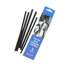 Kit Carvão Vegetal Desenho Profissional Sinoart 5 Unidades Kit Carvão Vegetal Desenho Profissional Sinoart 5 Unidades