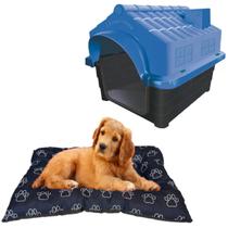 Kit Casa Cachorro Gatos N3 Azul + Caminha Colchão Acolchoado