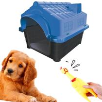 Kit Casa P/ Cachorro Azul Grande N4 + Mordedor Galinha 16cm