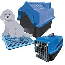 Kit Casinha Caixa De Transporte E Sanitário Pet Dog N3 Azul