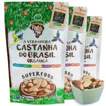 Kit Castanha do Pará Orgânica Inteira 125gr - Premium 3 Unidades