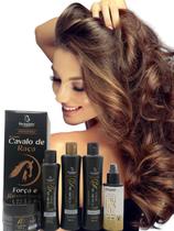 Kit Cavalo de Raça 4 Itens - Tratamento Capilar e Spray Banho Brilhante Efeito Gloss