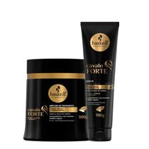 Kit Cavalo Forte 1 Máscara 500ml 1 Leave In 150g Haskell