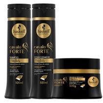 Kit Cavalo Forte Haskell Shampoo 300ml+Condicionador 300ml+máscara 300g
