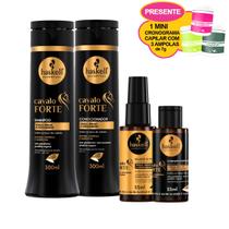 Kit Cavalo Forte Haskell - Shampoo Cond. Selante e Complexo (Ganhe 1 Mini Cronograma) Kit Cavalo Forte Haskell - Shampoo Cond. Selante e Complexo (Ganhe 1 Mini Cronograma)