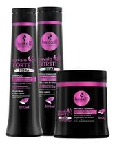 Kit cavalo forte hidra 500: sh+cond+masc
