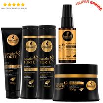 Kit Cavalo Forte Pequeno 5 Itens Haskell Cresce Cabelo