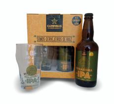 Kit Cerveja Artesanal Campinas Forasteira IPA 500ml + Copo Pint