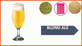 Kit cerveja artesanal Insumos Blond, Ale 20L