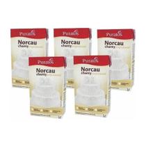 Kit chantilly chanty professional 1 l com 5 unidades Norcau