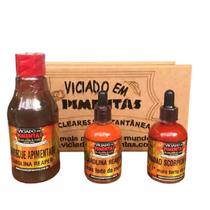 Kit Churrasco Profissional Molhos de Pimentas e Barbecue