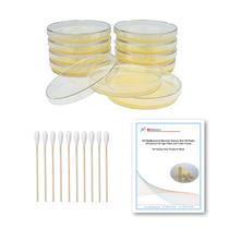 Kit científico EZ BioResearch Bacteria com placas e cotonetes de ágar LB