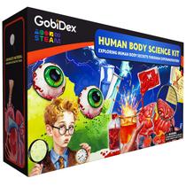 Kit científico GoBidex Human Body STEM Toys, de 8 a 12 anos Kit científico GoBidex Human Body STEM Toys, de 8 a 12 anos