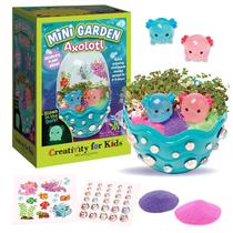 Kit científico STEM Creativity para crianças Mini Garden Axolotl