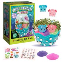 Kit Científico STEM Mini Garden Axolotl - Brinquedo Educativo para Crianças Kit Científico STEM Mini Garden Axolotl - Brinquedo Educativo para Crianças