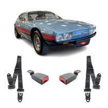 Kit Cinto De Segurança Estático Preto Puma Sp2 Haste 3 Ponto