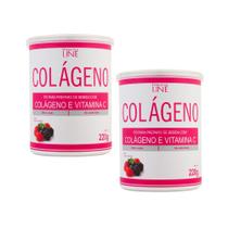 Kit Colágeno Hidrolisado em pó com Vit C 220g Kit Colágeno Hidrolisado em pó com Vit C 220g