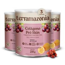 Kit Colágeno Pró Skin Terramazonia com Vertisol, CamuCamu e Cubiu 3 unidades Descrição