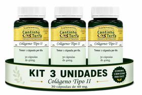 Kit Colágeno Tipo II 40 mg 30 Cápsulas 3 Unidades