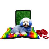 Kit Colchonete Arcoíris Pet Médio Sanitário Grama Comedouro Coleira Bolinha Kit Colchonete Arcoíris Pet Médio Sanitário Grama Comedouro Coleira Bolinha