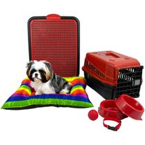 Kit Colchonete Arcoíris Pet Pequeno Sanitário Transporte Acessórios