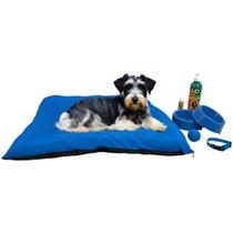 Kit Colchonete Pet Médio Educador Xixi Sim e Não e Acessórios