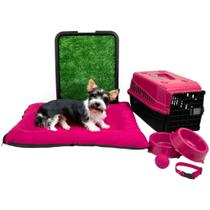 Kit Colchonete Pet Médio Sanitário Grama Transporte Acessórios