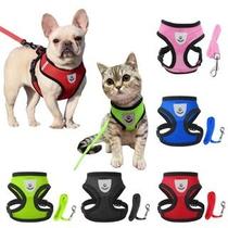 Kit Coleira Guia Pets Ajustável Resistente Nylon Premium Segurança Conforto Passeio Treino Azul 5 Cores Disponíveis Ofer