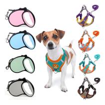 Kit Coleira Peitoral Colete Cores Cachorro Pequeno E Gato + Guia Retratil 5metros