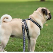 Kit Coleira Peitoral para Cachorro De Raças Pequenas Mais Guia Premium