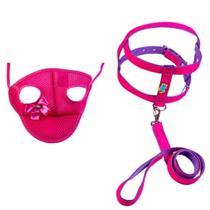 Kit Coleira Peitoral Rosa Aplique E Boné Para Cachorros N03